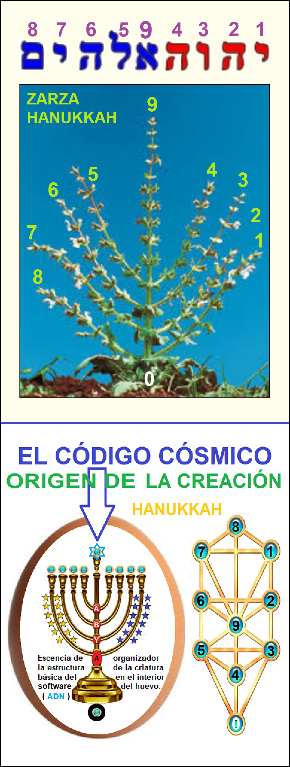 Consumado es el misterio de Dios